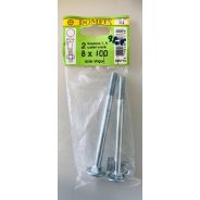 Boulons T.R 8x100mm