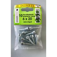 10 Vis cylindriques 6X20mm