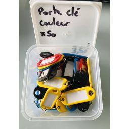 Porte clé couleur x50