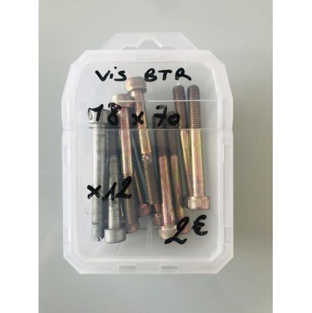 12 vis BTR M8x70mm