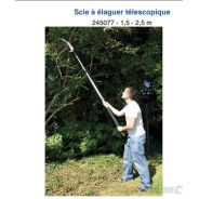 Scie à élaguer téléscopique