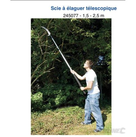 Scie à élaguer téléscopique