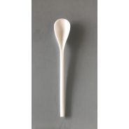 50 cuiller à dessert bio