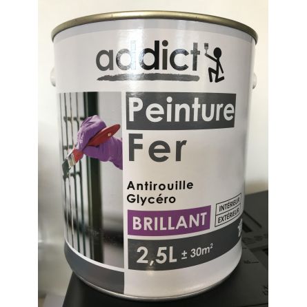 Peinture Fer Blanc 2.5L