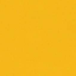 Peinture boiseries bouton d'or 2.5L