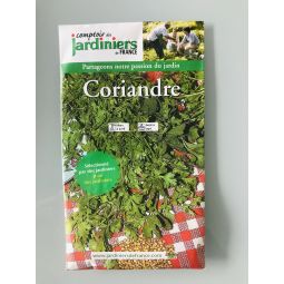 Coriandre