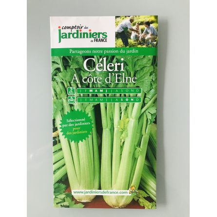 Céleri à côte d'Elne