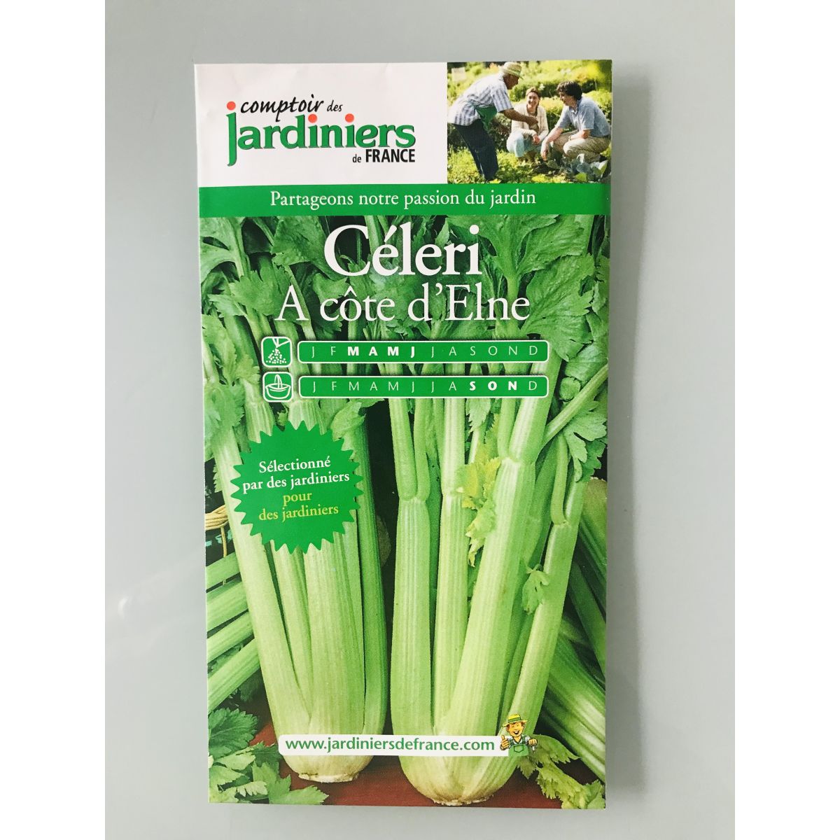 Céleri à côte d'Elne