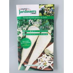 Persil à grosse racine