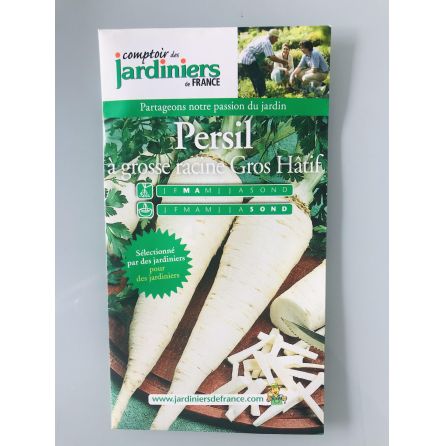 Persil à grosse racine