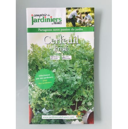 Cerfeuil frisé 