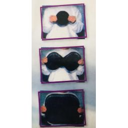 Pare soleil latéraux noirs