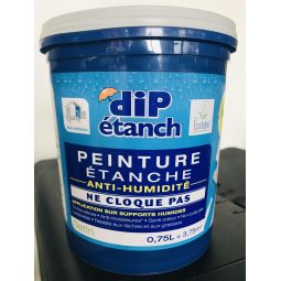 Peinture étanche Dragée 750ml