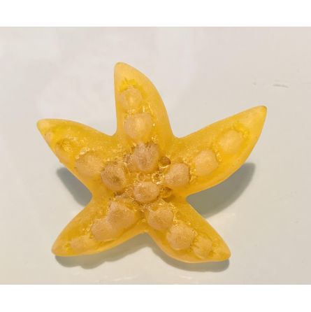 Bouton étoile de mer jaune