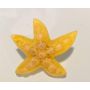 Bouton étoile de mer jaune