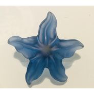 Bouton étoile de mer bleue 