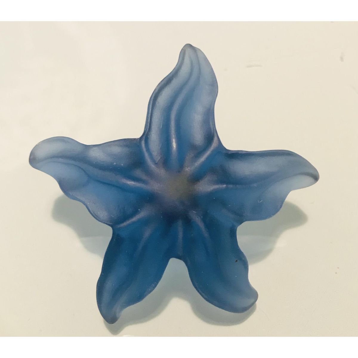 Bouton étoile de mer bleue 