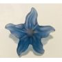 Bouton étoile de mer bleue 