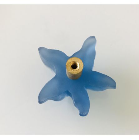 Bouton Modèle étoile de mer bleue 