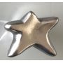 Bouton modèle étoile argentée