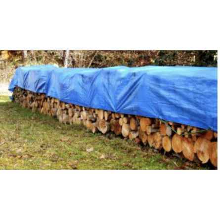 Bâche de protection (pro) 2x3m